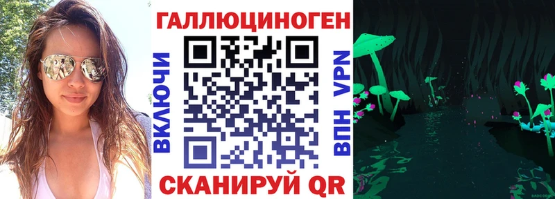 дарк нет официальный сайт Курган Псилоцибиновые грибы мицелий