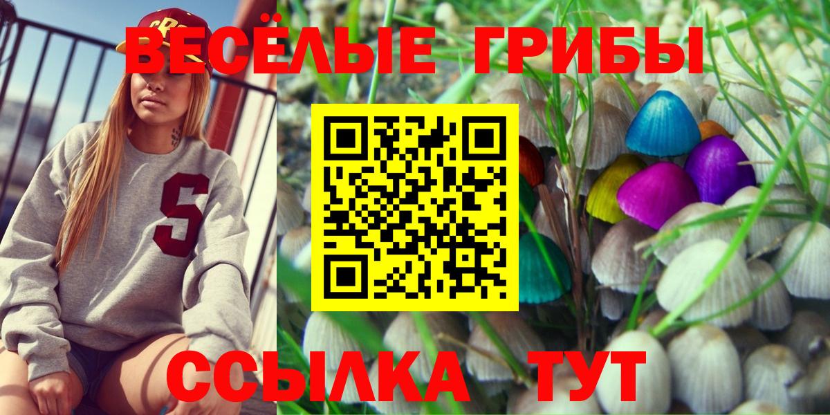 Галлюциногенные грибы мицелий  купить   Курган 