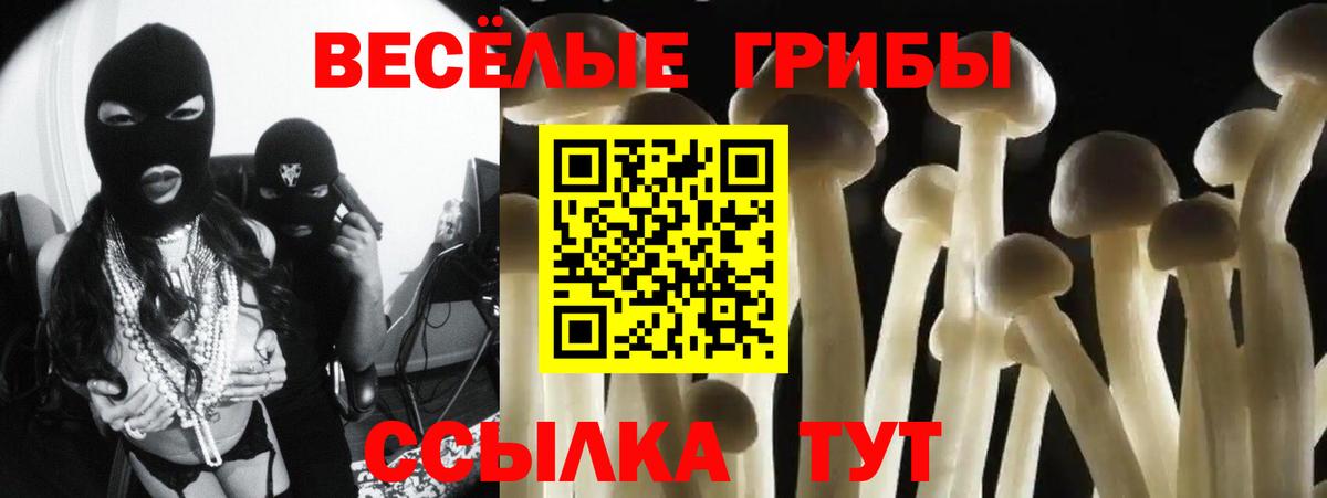 Псилоцибиновые грибы MAGIC MUSHROOMS Курган