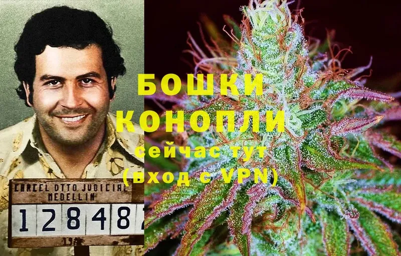 Шишки марихуана LSD WEED  мега вход  Курган 